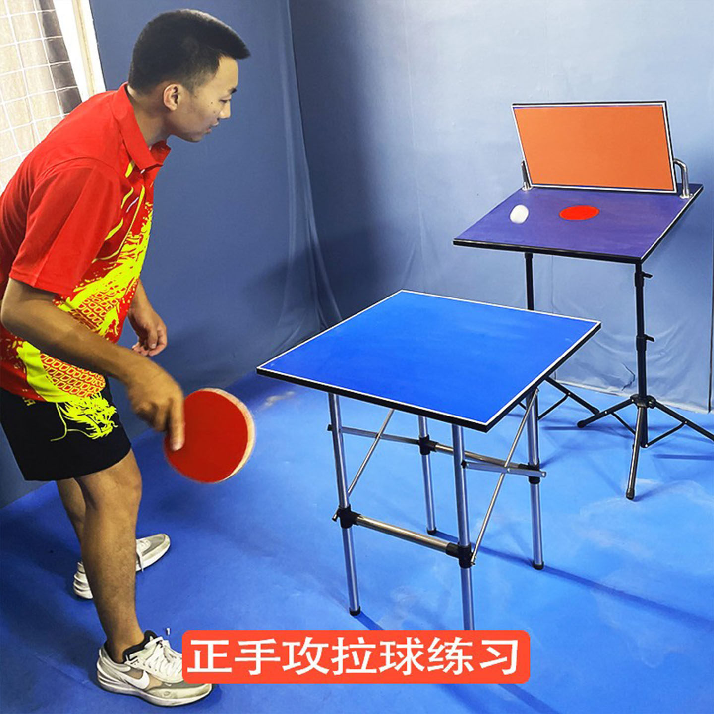 탁구 트레이너 리바운드 보드 전문가용 싱글 트레이닝 배 - Table Tennis Training 리뷰 및 가격