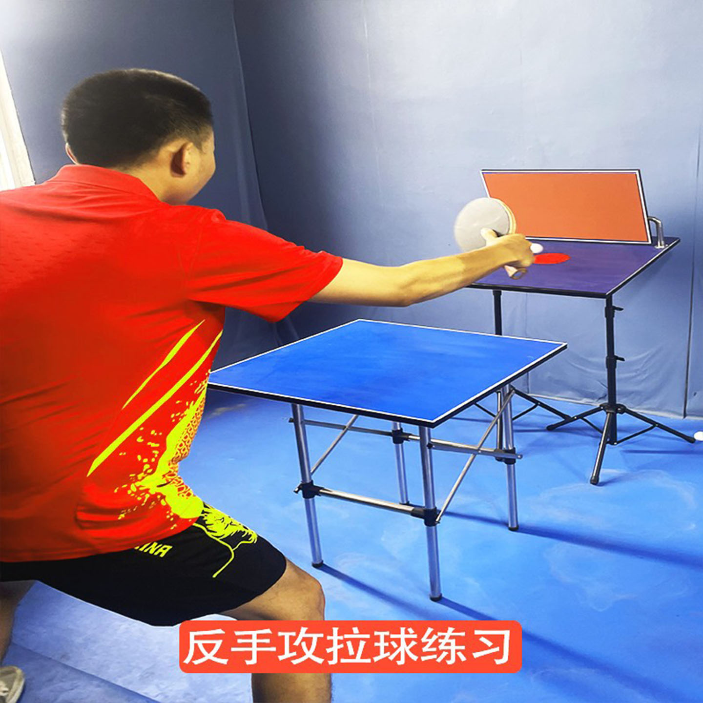 탁구 트레이너 리바운드 보드 전문가용 싱글 트레이닝 배 - Table Tennis Training 리뷰 및 가격