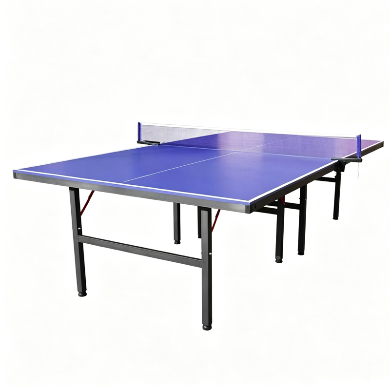 고품질 국제 표준 실내 접이식 이동식 방수 플랫폼 탁구 - Table Tennis Training 리뷰 및 가격